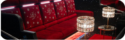 vip